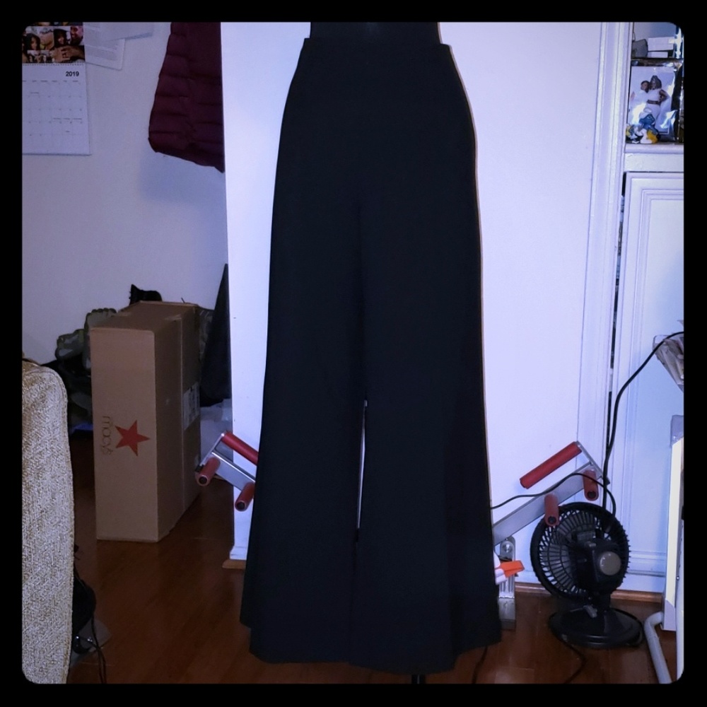 Fully Lined Pants - image 1